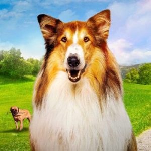 Lassie, een nieuw avontuur
