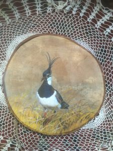 schilderen-acrylverf